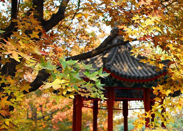 Temple of the earth