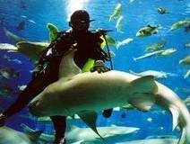 Beijing Pacific Underwater World