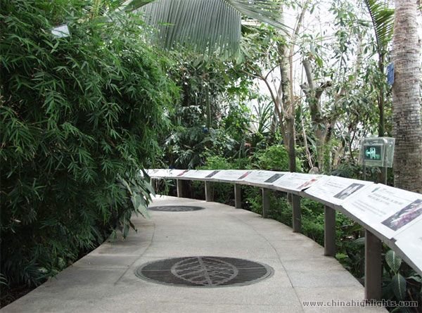 Beijing Botanical Garden