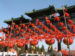 Beijing New Year Celebration Tour