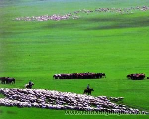 Xilamuren Grassland is a favorite place to escape from the summer heat. Xilamuren Grassland is a favorite place to escape from the summer heat.