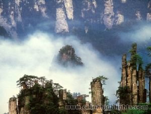 The National Forest Park of Zhangjiajie
