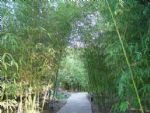 Photos of Bamboo Garden Hotel Beijing