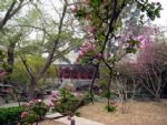 Photos of Bamboo Garden Hotel Beijing