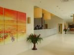 Photos of Hotel Kapok