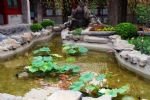 Photos of Beijing Soluxe Courtyard Hotel