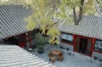 Photos of China Loungo Courtyard Boutique Hotel